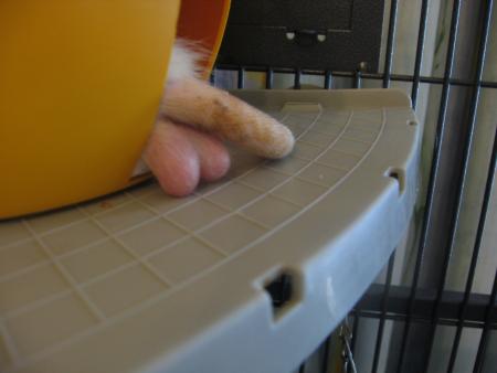 LOLLLLLLLLLLLLLLLLLLLLLLLLL !!!!!! . SANS COMMENTAIRES