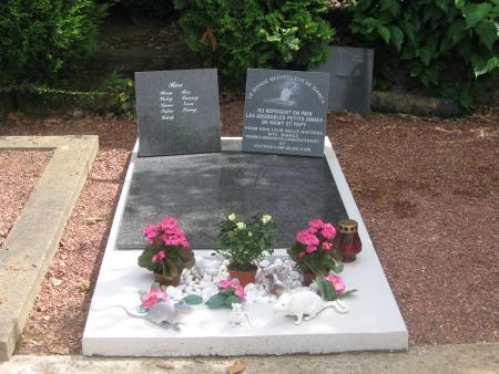 LA   SEPULTURE DE NOS PETITS ANGES  3 �me  PHOTO  .