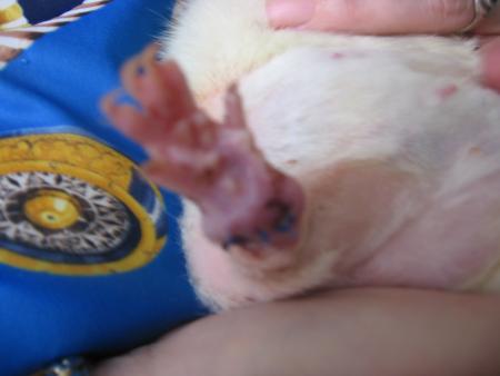 SHIKA  2 �me PHOTO ELLE A 5 FILS  .