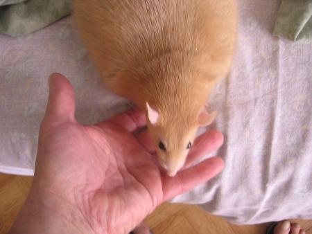 ETANE N EST TOUJOURS PAS CONFIANT  ? .