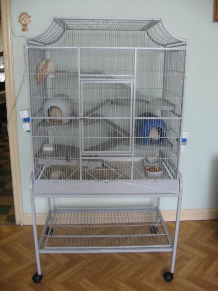 VOLIERES SUPER POUR LES RONGEURS  1 .