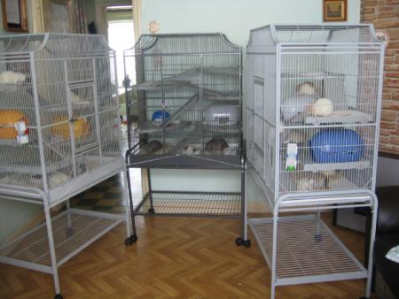 SUPER VOLIERES POUR LES RONGEURS 3  .