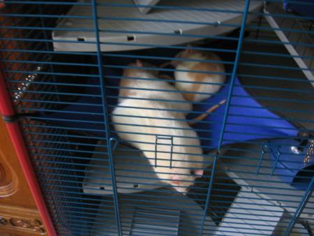 UN REPOS BIEN SECURISE .