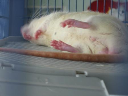 UN BON REPOS EN TOUTE SECURITE   .