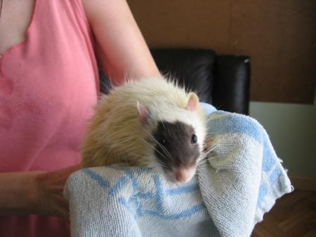 LE BAIN DES 10 M�LES  (  MAX  )  .