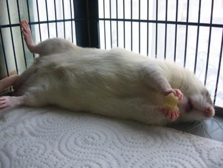 LES GROSSES CHALEURS   2 .