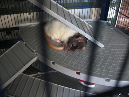 UN BON REPOS SECURISE