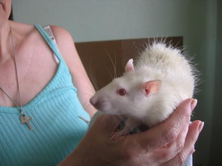 LE BAIN DES 7  nouveaux   M�LES, LOULOU .