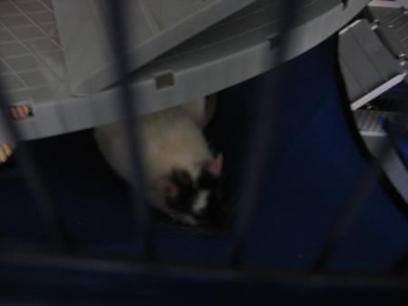 UN BON REPOS EN SECURITE