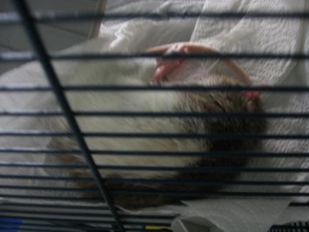 UN REPOS EN TOUTES SECURITE .