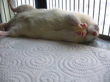 LES GROSSES CHALEURS .