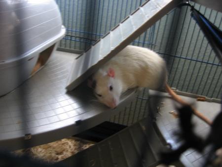 UN BON REPOS EN SECURITE