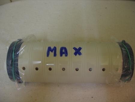 LA  DERNIERE  DEMEURE  DE  MAX  .