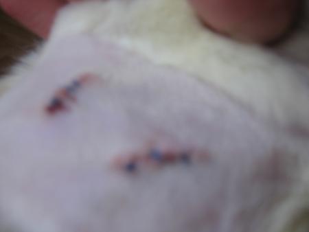 2 �me  &  3 �me  OPERATION DE  BEBE  .