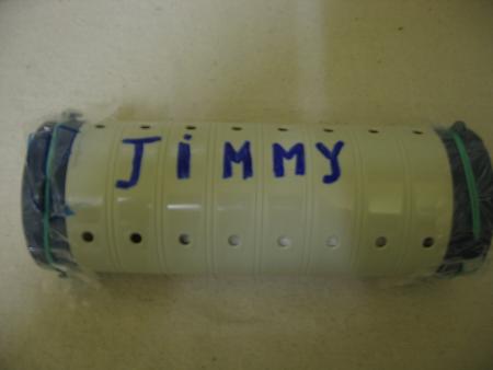 LA DERNIERE DEMEURE  DE  JIMMY .