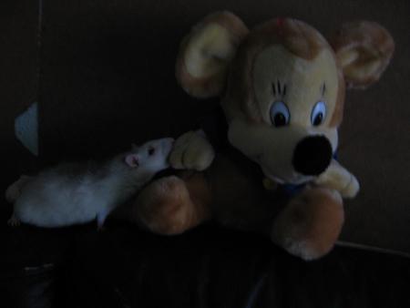  PRINCE  PAS  D ' ACCORD  .