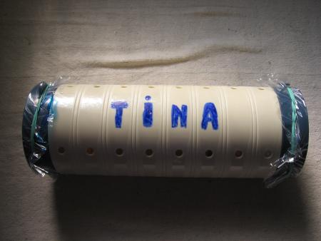 LE PETIT CERCEUIL DE TINA  .