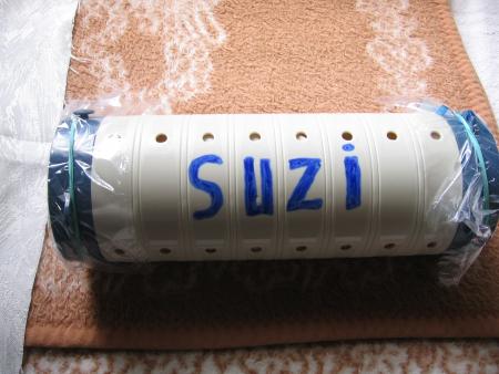  SUZY SA DERNIERE DEMEURE  .