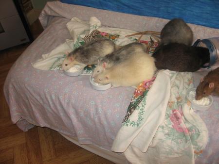 HUMMMMMMM C EST TRES BON  !!!!!!!!