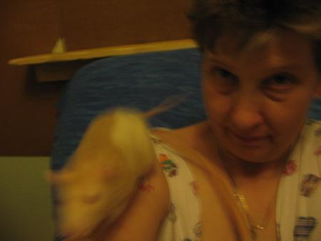 TUBIZE SUR MAMY EGALEMENT .