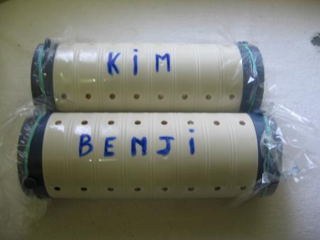 LEUR DERNIERE DEMEURE  A KIM ET BENJI .