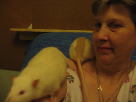 KIWI ET TUBIZE SUR LES EPAULES DE MAMY .