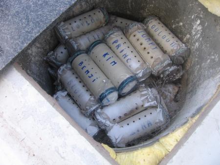 LA SEPULTURE POUR BENJI ET KIM .