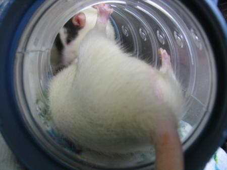 HAAAA CE QUE L ON EST BIEN  .