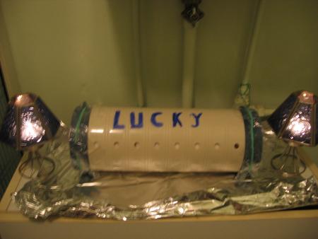 LA  VEILLEE  DE  LUCKY  .