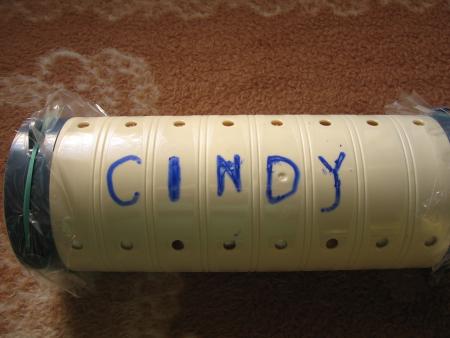 LA DERNIERE DEMEURE DE CINDY .