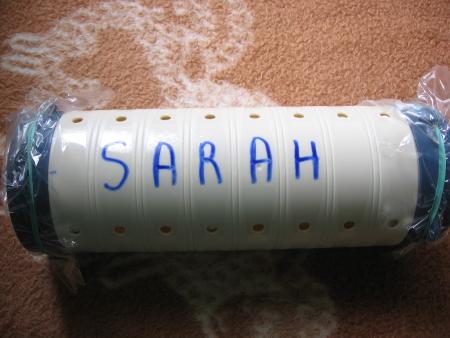 LA DERNIERE MAISON DE SARAH .