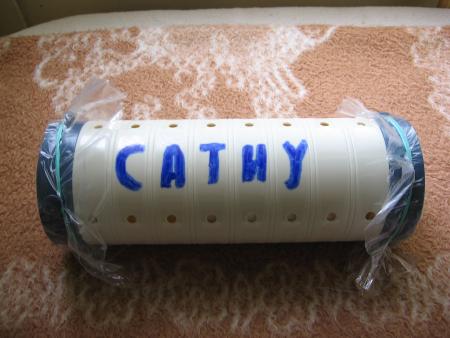 LA DERNIERE DEMEURE DE CATHY  .