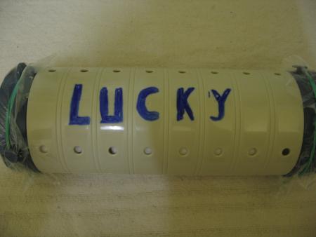 LA DERNIERE DEMEURE DE LUCKY .
