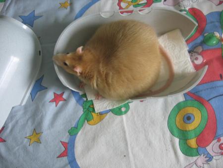 ETANE BIEN EN CHAIR !!!