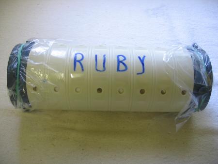 LA DERNIERE DEMEURE DE RUBY .