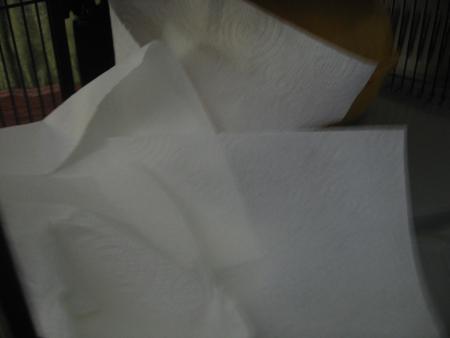 LA  PEUR  FAIT FAIRE DES CHOSES !!!!!!  .