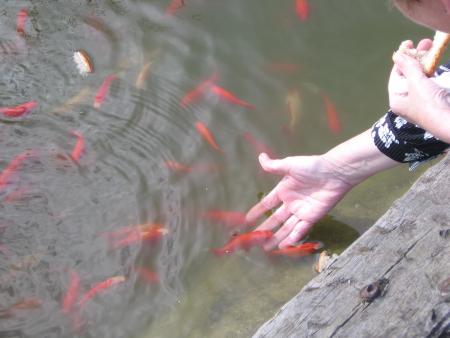 LA DOUCEUR FAIT TOUT .