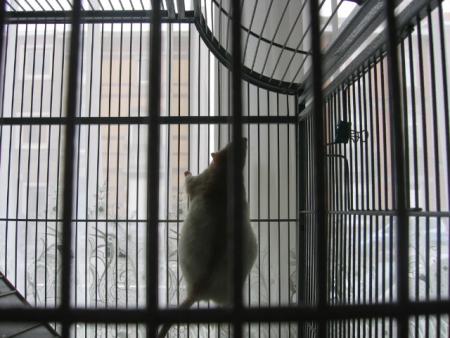 FIFIE FAIT SES BESOINS