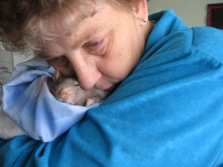 SAPHIR NOUS A QUITTE . CE 11 0CTOBRE 2007 A 14H15 .