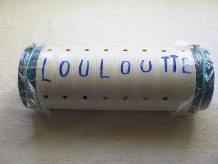 LA DERNIERE DEMEURE DE LOULOUTTE .