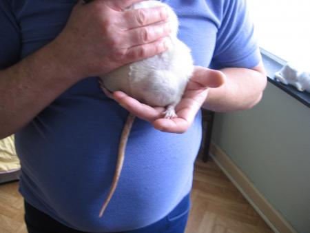 NINA  A TROIS TUMEURS  .