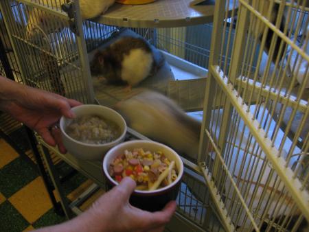 L' EFFERVESCENCE BEN !!  VOILA CE QUE C 'EST !