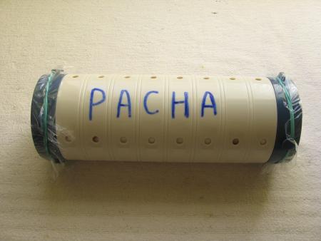 LA DERNIERE DEMEURE DE PACHA .