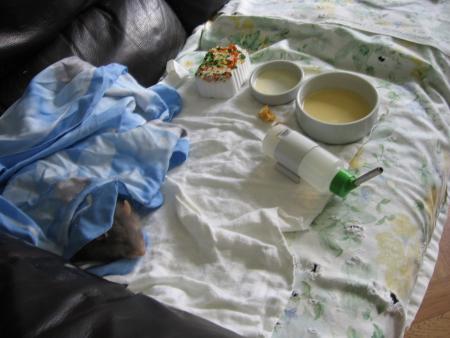 SAPHIR A TRES DIFFICILE A SE REMETTRE !! .