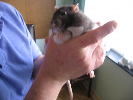 3 �me TUMEUR DE NINA .