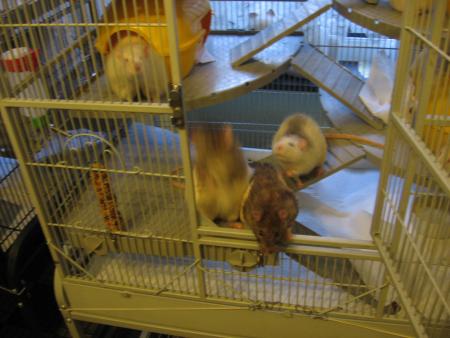 HUMMMMMMMMMMMMM  !! BIZARE ?????? .