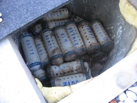 RUSTY DANS LE CAVEAU .