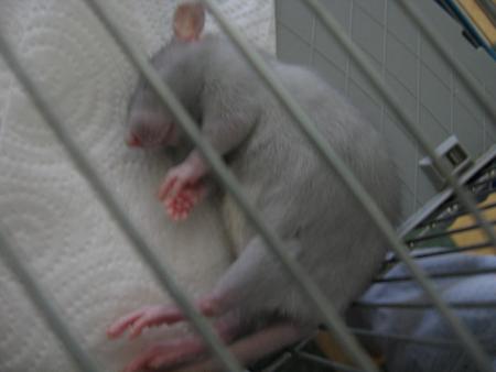 BIEN - �TRE  POUR EUX !.