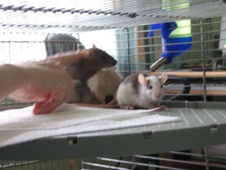 L INCERTITUDE !!!!!!!!!!!!!!!!!!!!!!!!!!!!!!!! .