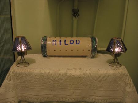 LA VEILLEE DE MILOU .